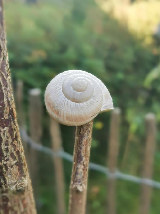 Ferienglueck An Der Nordsee Buche Deine Erdgeschoss-Ferienwohnung Mit Kamin Terrasse Und Eingezaeuntem Garten Fuer Unvergessliche Auszeiten Altfunnixsiel Екстериор снимка