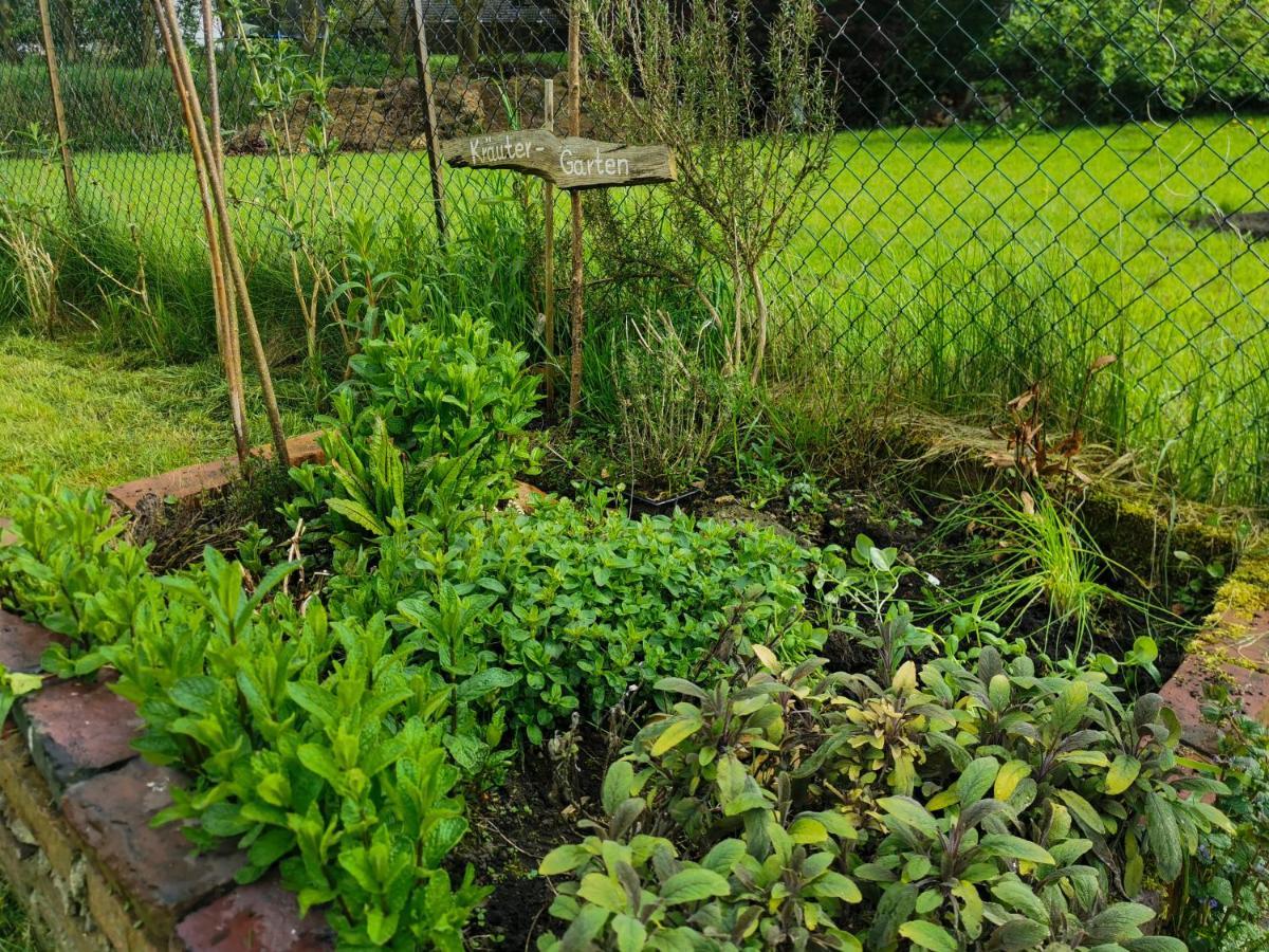 Ferienglueck An Der Nordsee Buche Deine Erdgeschoss-Ferienwohnung Mit Kamin Terrasse Und Eingezaeuntem Garten Fuer Unvergessliche Auszeiten Altfunnixsiel Екстериор снимка